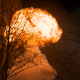 Illustration for article titled Battlestar Carnage, Clone Wars Decapitations And Wolverines Explosions